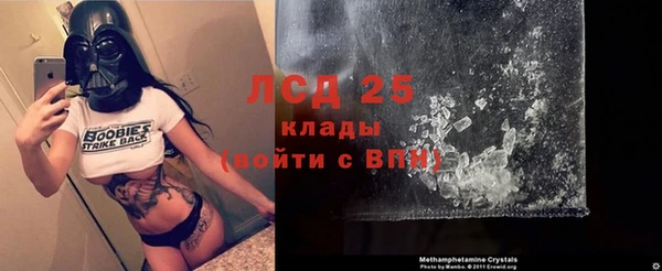 ГАЛЛЮЦИНОГЕННЫЕ ГРИБЫ Абаза