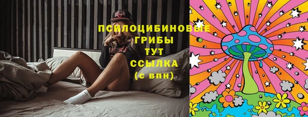 ГАЛЛЮЦИНОГЕННЫЕ ГРИБЫ Абаза