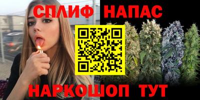 ПСИЛОЦИБИНОВЫЕ ГРИБЫ Гусев