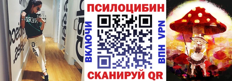 где продают   Великий Новгород  Псилоцибиновые грибы GOLDEN TEACHER 