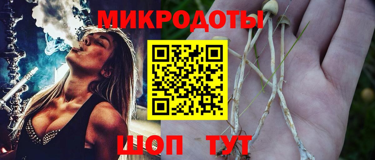 Псилоцибиновые грибы прущие грибы  Вход с VPN  Великий Новгород  где можно купить   Псилоцибиновые грибы мухоморы 